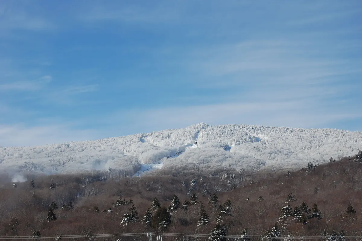 A breathtaking view of snow-covered mountains and evergreen trees under a clear blue sky. The landscape evokes the thrill of winter sports like skiing and snowboarding and highlights the natural splendor that draws visitors to the area.